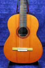 ＤＩ　ＧＩＯＲＧＩＯ NOSTALGIA　NO.38/640mm　松/ハカランダ　1976年_2