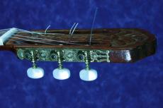 ＤＩ　ＧＩＯＲＧＩＯ NOSTALGIA　NO.38/640mm　松/ハカランダ　1976年_5