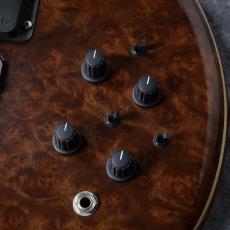 ALEMBIC JJLB5 Jimmy Johnson Signature 【5.17kg】_3