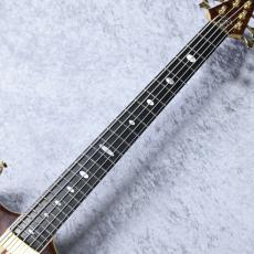ALEMBIC JJLB5 Jimmy Johnson Signature 【5.17kg】_4