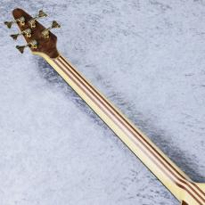 ALEMBIC JJLB5 Jimmy Johnson Signature 【5.17kg】_9