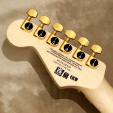 Charvel PRO MOD DK24 HH FR M Mahogany with Quilt Maple, Dark Amber_5
