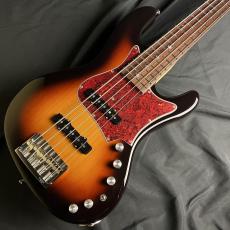 FREEDOM CUSTOM GUITAR RESEARCH RHINO-5st Alder/R