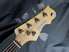 FREEDOM CUSTOM GUITAR RESEARCH RHINO-5st Alder/R_7