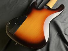 FREEDOM CUSTOM GUITAR RESEARCH RHINO-5st Alder/R_9