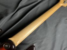 FREEDOM CUSTOM GUITAR RESEARCH RHINO-5st Alder/R_10