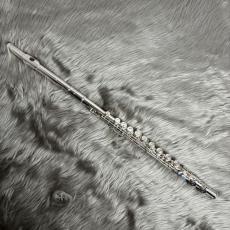 Pearl PF-665E【USED】