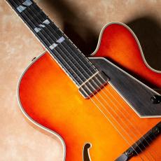Aria Pro II FA-2100 ALB(Almond Burst)【お取り寄せ商品】_5