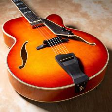 Aria Pro II FA-2100 ALB(Almond Burst)【お取り寄せ商品】_6