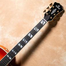 Aria Pro II FA-2100 ALB(Almond Burst)【お取り寄せ商品】_7