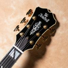 Aria Pro II FA-2100 ALB(Almond Burst)【お取り寄せ商品】_8
