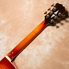 Aria Pro II FA-2100 ALB(Almond Burst)【お取り寄せ商品】_11
