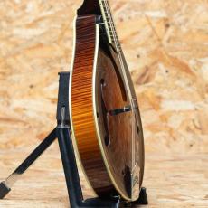 Collings MT-2 1996_4