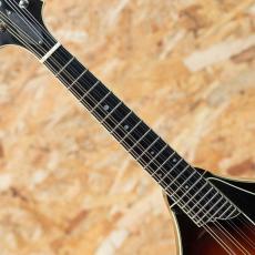 Collings MT-2 1996_6