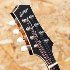 Collings MT-2 1996_8