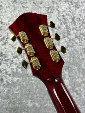 Rozeo 【ボーナスセール】Ladybug SM-TBC  -Cherry-【2020'sUSED】【国産ギター】_5