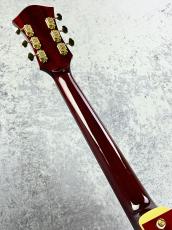 Rozeo 【ボーナスセール】Ladybug SM-TBC  -Cherry-【2020'sUSED】【国産ギター】_6