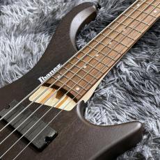 Ibanez EHB605-WNF (Walnut Flat) 【特価】 【2026 NEWモデル】 【ヘッドレスベース】 【5弦】_4