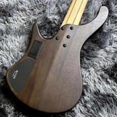 Ibanez EHB605-WNF (Walnut Flat) 【特価】 【2026 NEWモデル】 【ヘッドレスベース】 【5弦】_7