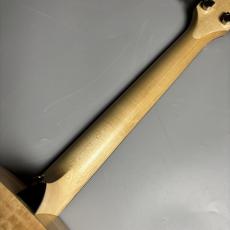 Taylor 【長期展示アウトレット特価】LTD EG Academy 12e_5