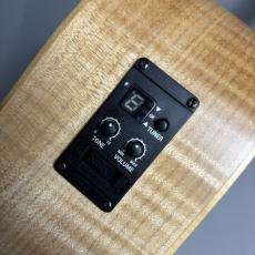 Taylor 【長期展示アウトレット特価】LTD EG Academy 12e_8