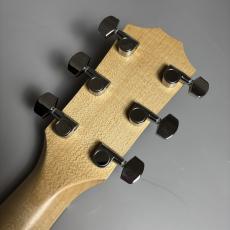Taylor 【長期展示アウトレット特価】LTD EG Academy 12e_10