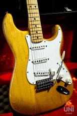 Fender Stratocaster / 1973_9