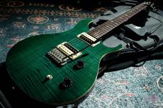 Paul Reed Smith [PRS] SE Custom / 2008