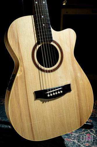 Maton PERFORMER