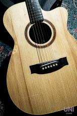 Maton PERFORMER_9