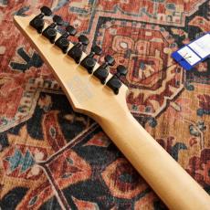 Ibanez RG7421PB SBF 【7弦ギター】【特価】_7