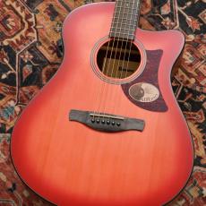 Ibanez AAM50CE CRO【特価】