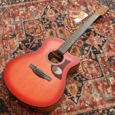 Ibanez AAM50CE CRO【特価】_2