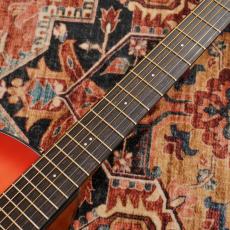 Ibanez AAM50CE CRO【特価】_5