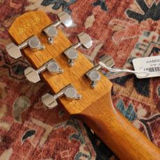 Ibanez AAM50CE CRO【特価】_7