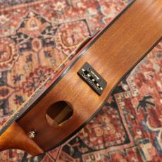 Ibanez AAM50CE CRO【特価】_9