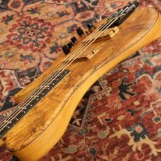 Sire Marcus Miller F10dx Headless 4-String NT_10