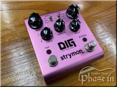 strymon DIG dual digital delay
