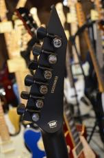 Edwards E-M-Ⅱ CTM Smoky Black_6