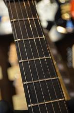 Edwards E-M-Ⅱ CTM Smoky Black_9