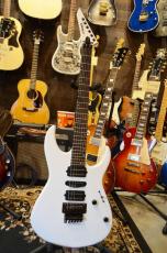 Edwards E-CY SWS_2