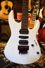 Edwards E-CY SWS_3