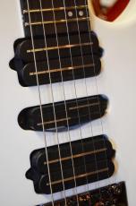 Edwards E-CY SWS_5