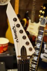 Edwards E-CY SWS_7