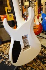 Edwards E-CY SWS_9