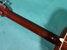 Martin D12-28_8