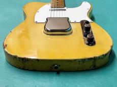 Fender TELECASTER BLD/M_9
