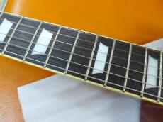 Tokai LS-1959  TYPE　Neo_6