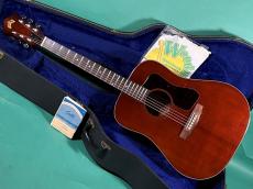 Guild D-25 M