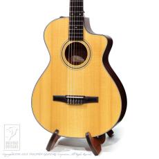 Taylor 312ce-Nylon 